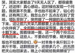 雪莲网友爆料视频,揭秘惊人内幕